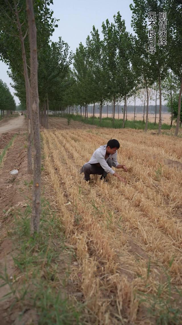 《父母愛情》劇照
