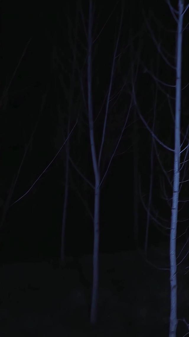 《血狼劫》劇照