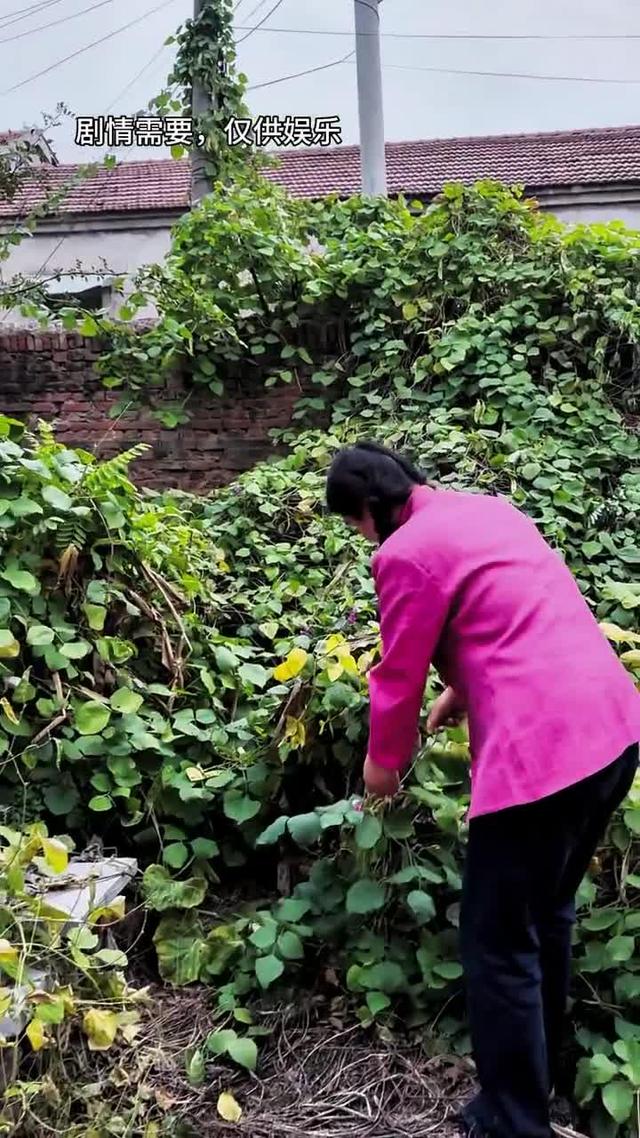 《雙婚喜事》劇照