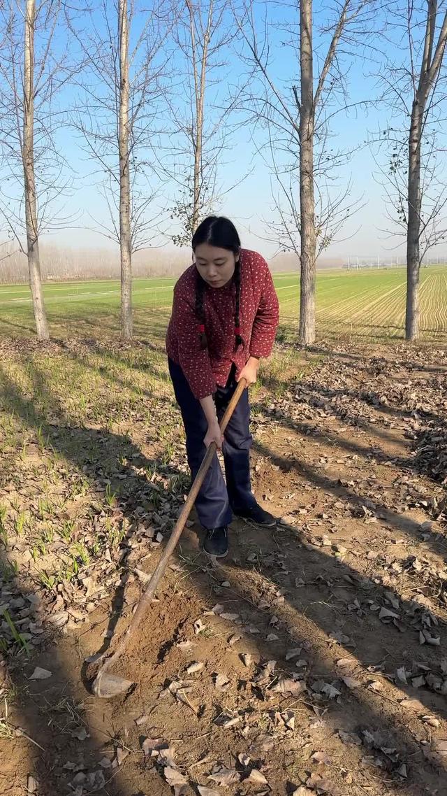 《鄉愁》劇照