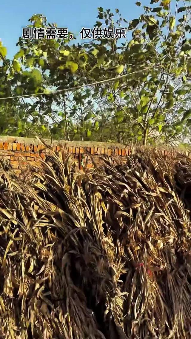 《雙婚喜事》劇照