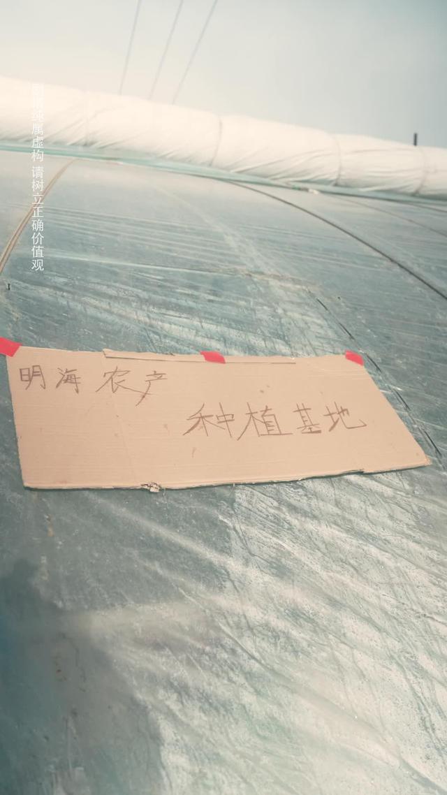 《鄉村贅婿，我在離婚後開始暴富》劇照