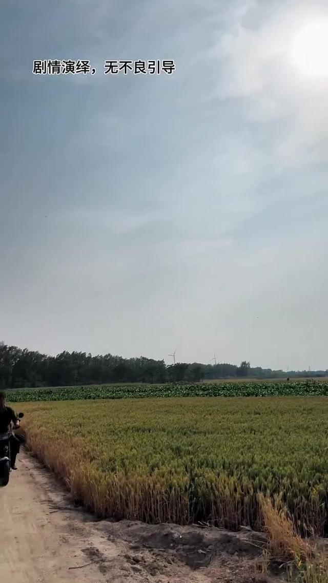《黃土婚約》劇照