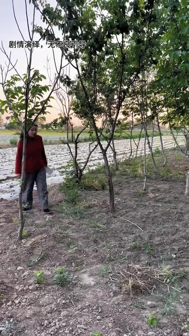 《黃土婚約》劇照