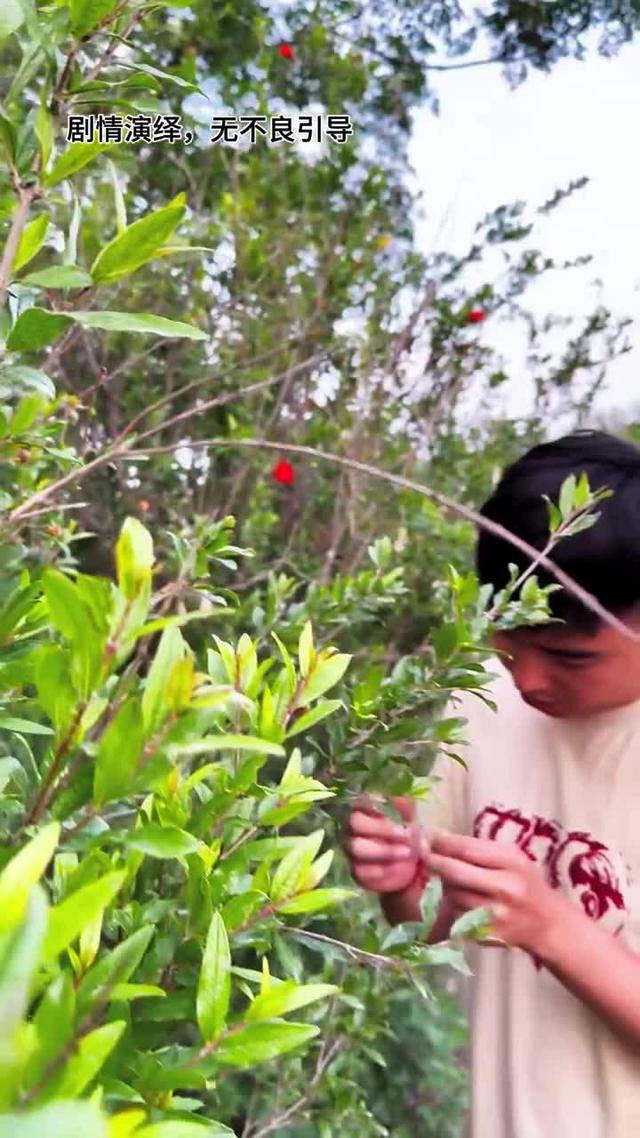 《黃土婚約》劇照