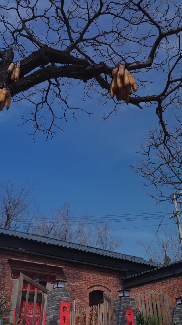 《爹要嫁人兒要翻天》劇照