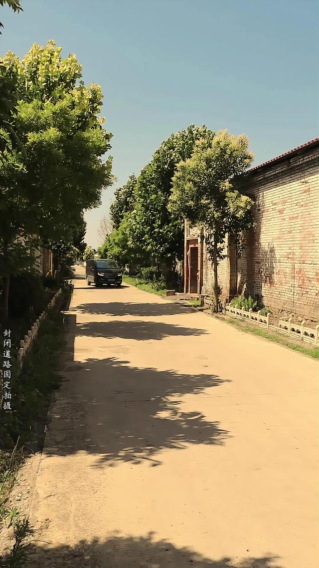 《運屍詭事》劇照