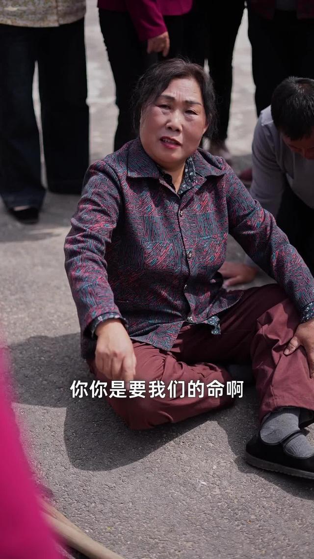 《花开石上又一春》剧照