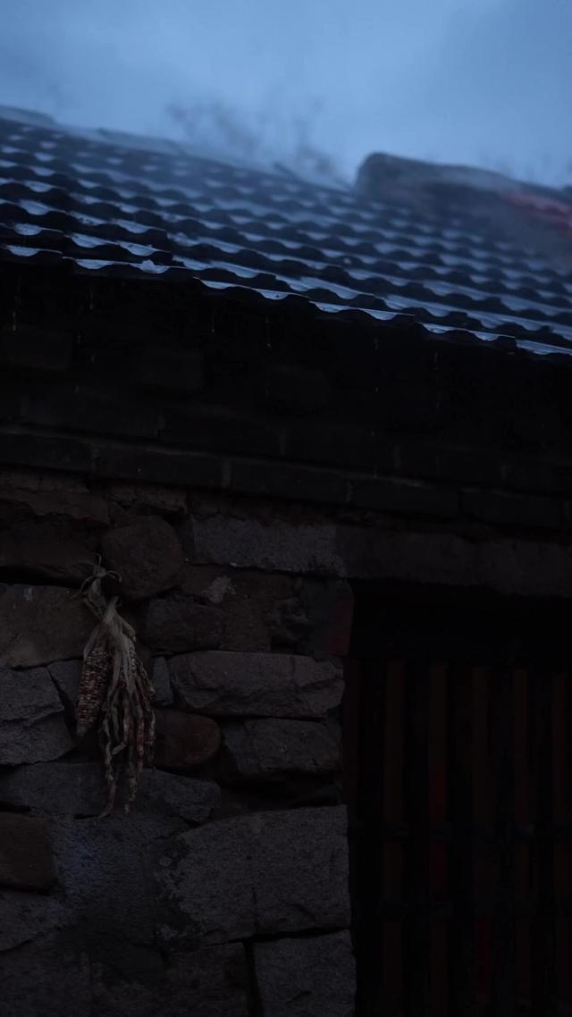 《花開石上又一春》劇照