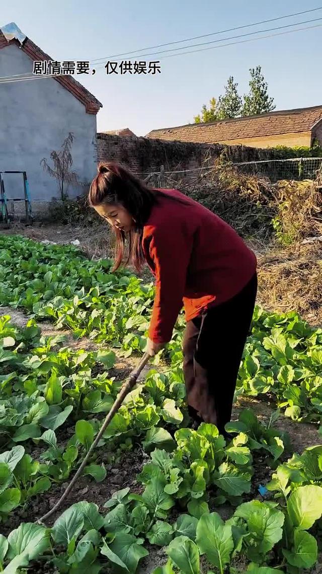 《雙婚喜事》劇照