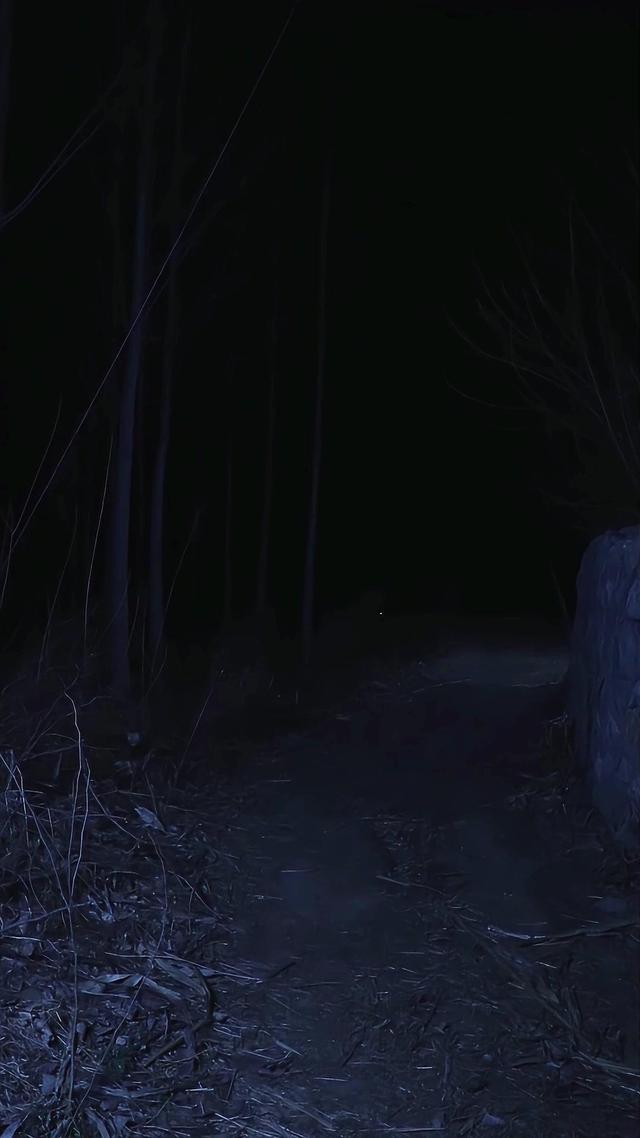 《血狼劫》劇照