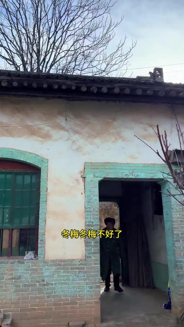 《淚落姐心》劇照