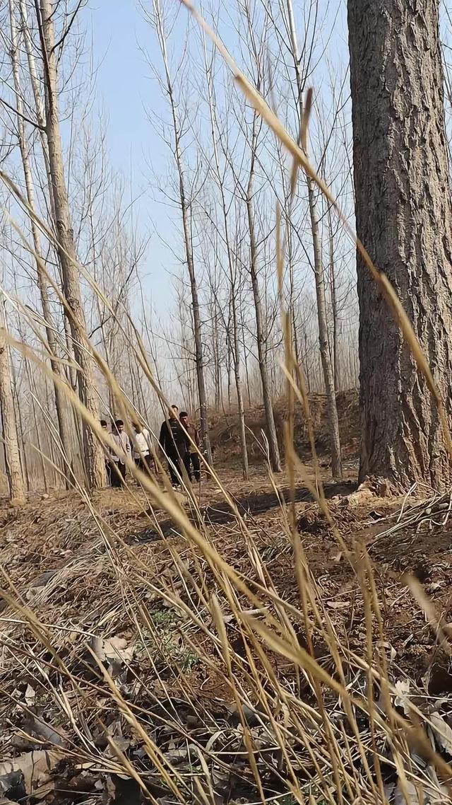 《血狼劫》劇照