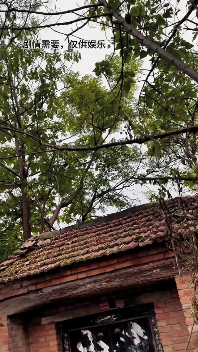 《雙婚喜事》劇照