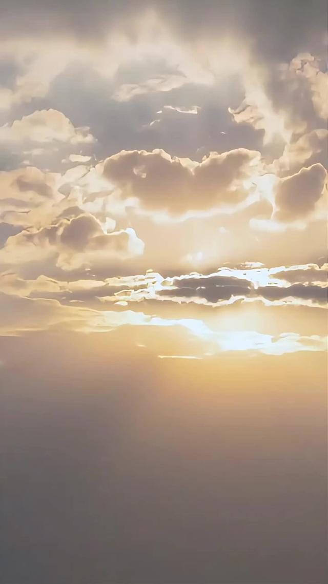 《血狼劫》劇照