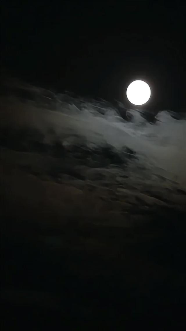 《血狼劫》劇照
