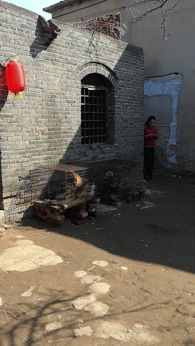《血狼劫》劇照