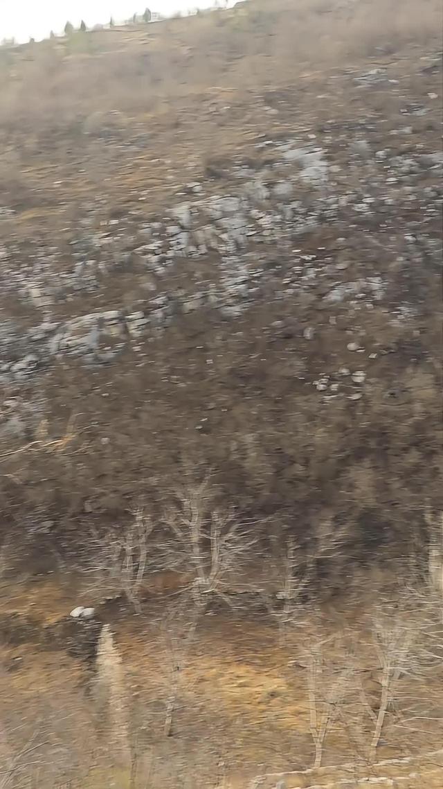 《血狼劫》劇照