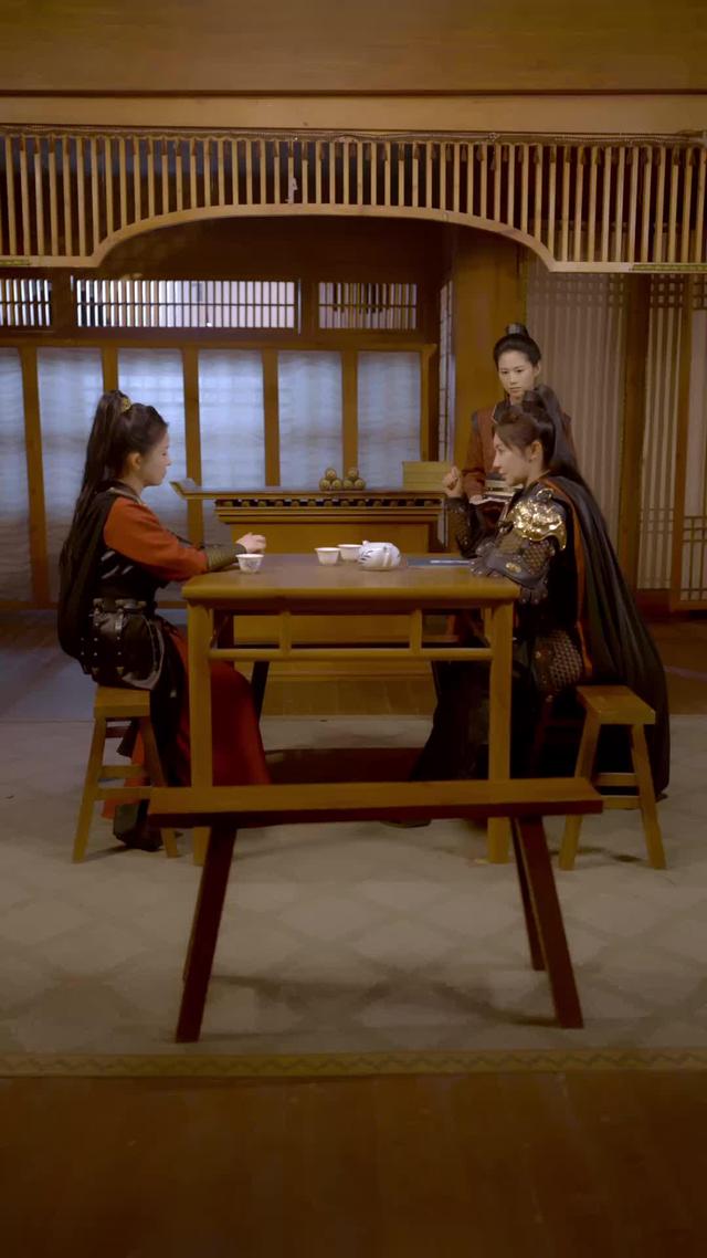 《女將軍重生之一體雙魂祖奶行》劇照