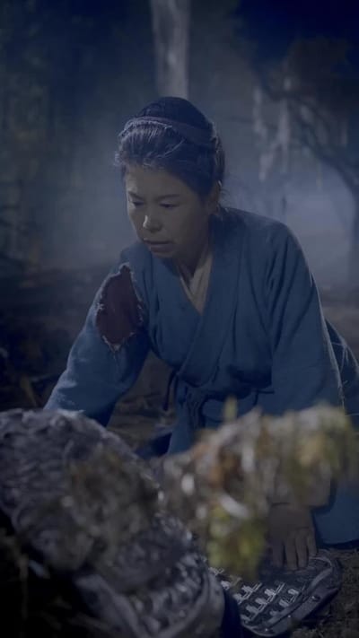 《女將軍重生之一體雙魂祖奶行》劇照