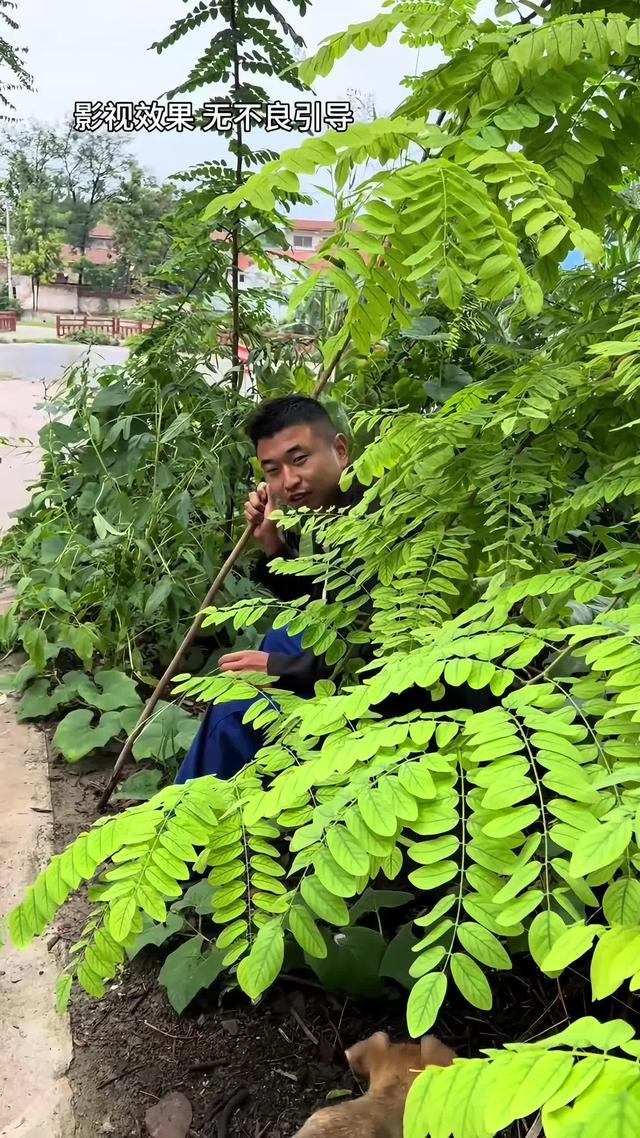 《半生尘缘》剧照