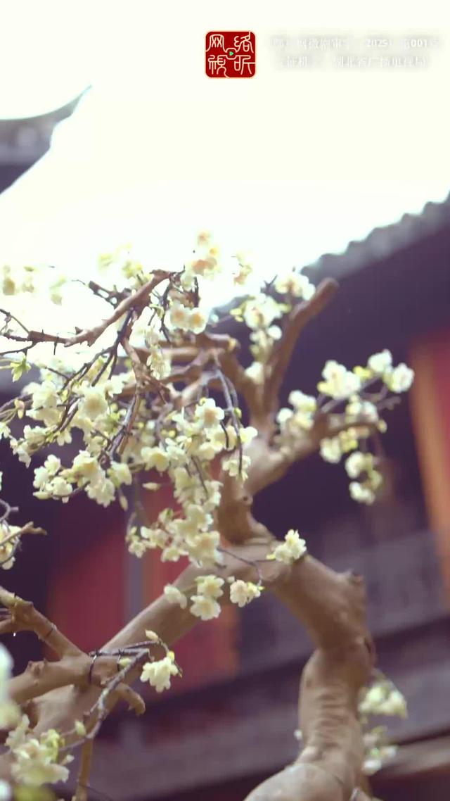 《吉天照》劇照