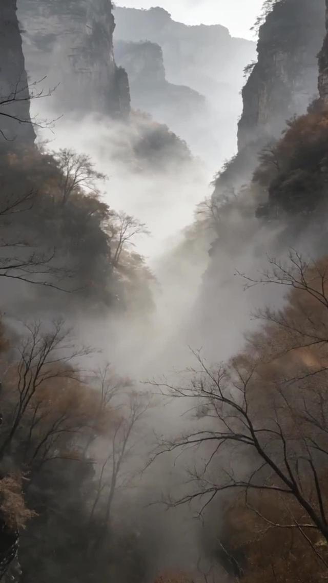 《狼王谷》劇照