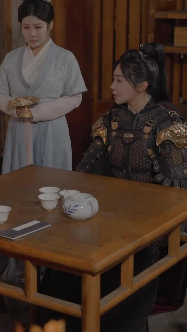 《女將軍重生之一體雙魂祖奶行》劇照