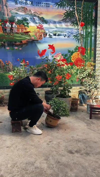 《找回的姐姐》劇照