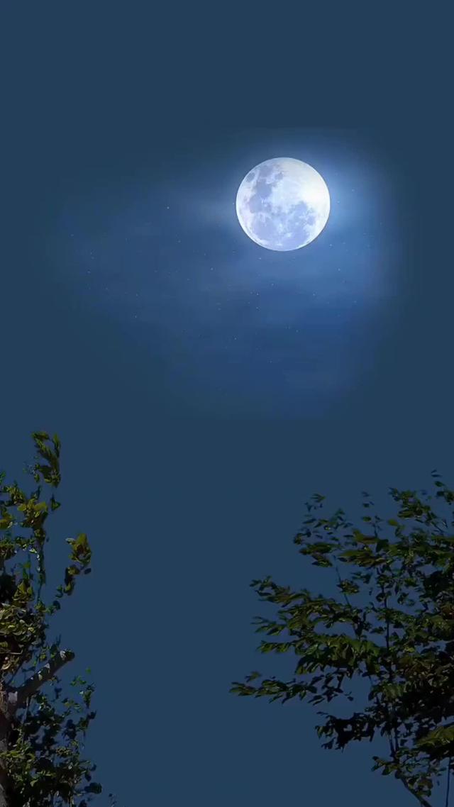 《雜物間的秘密》劇照