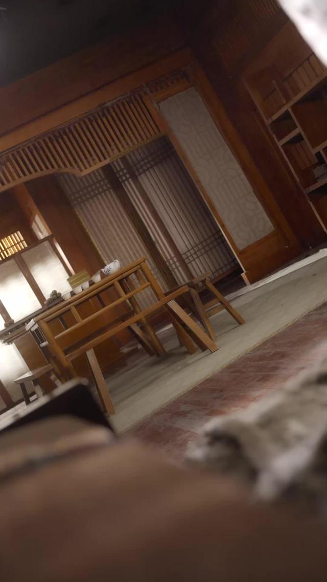 《女將軍重生之一體雙魂祖奶行》劇照
