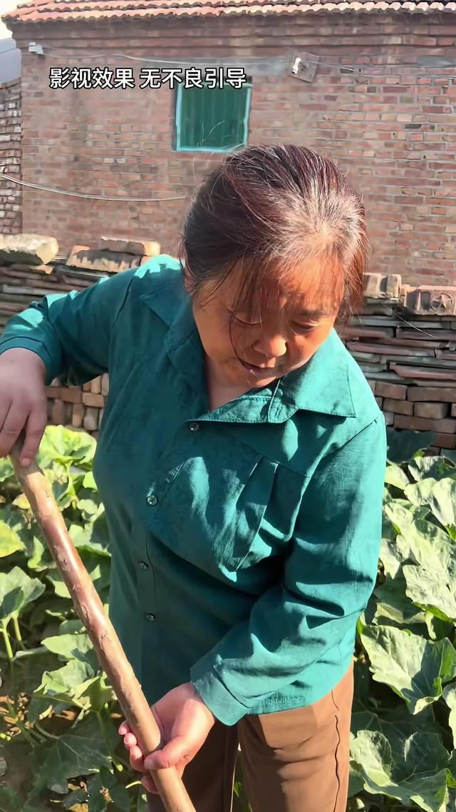 《半生尘缘》剧照