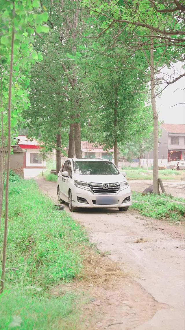 《村裡的姑娘叫阿杏》劇照