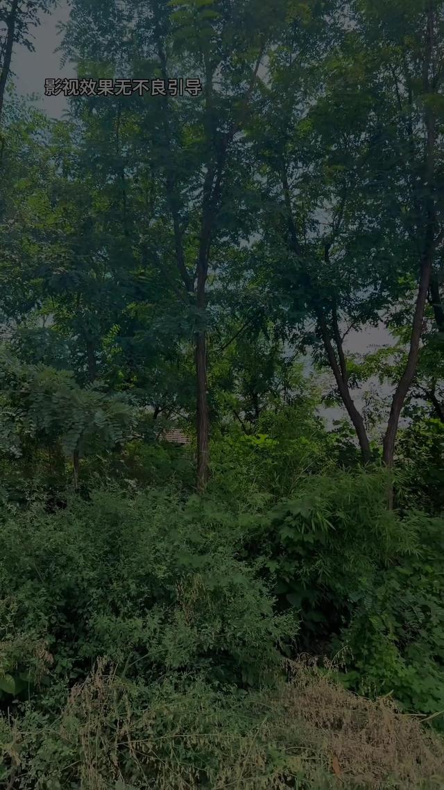 《半生尘缘》剧照