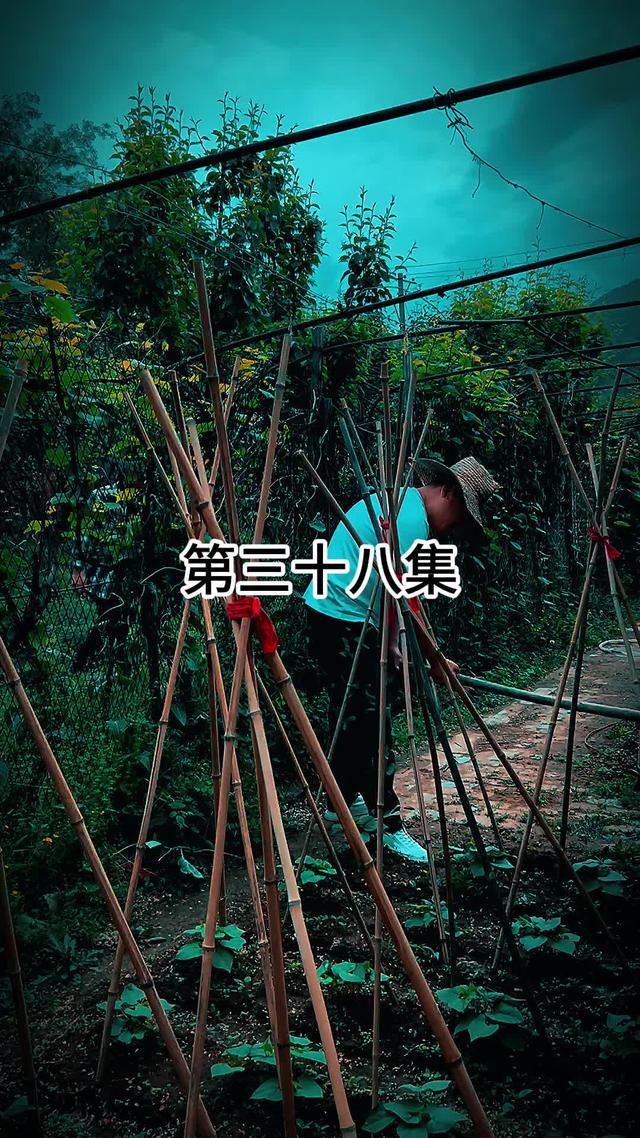 《鄉村迷案》劇照