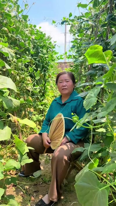 《半生尘缘》剧照