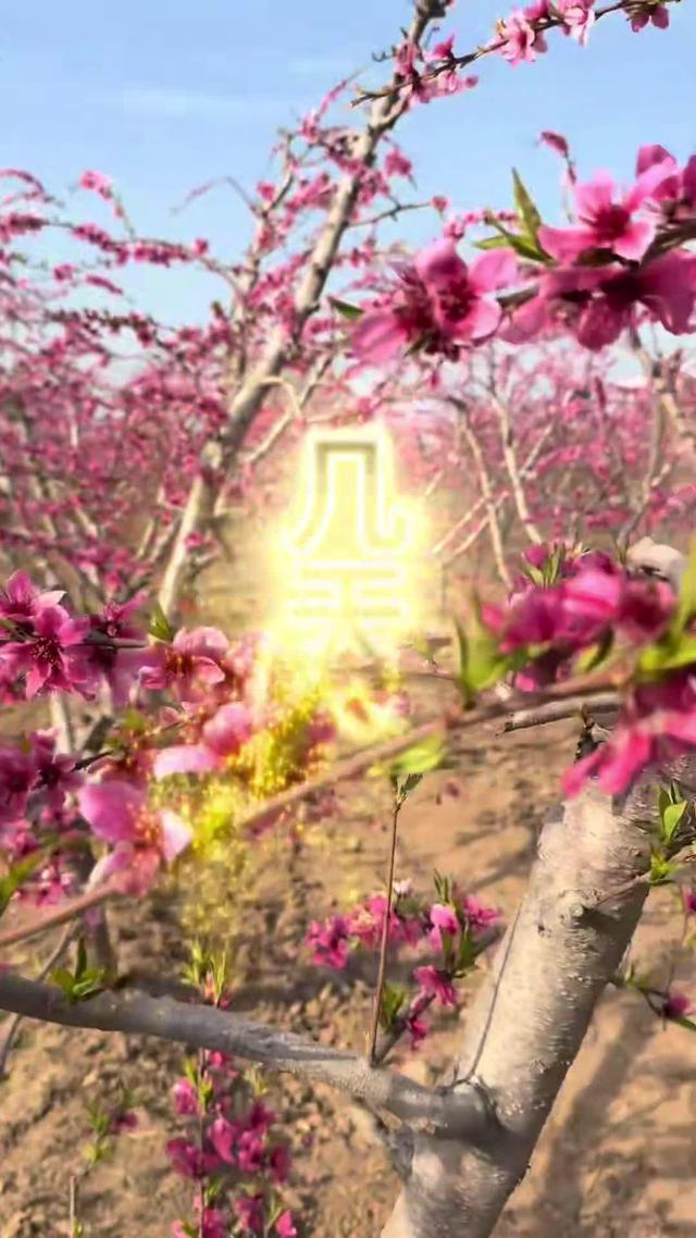 《後來有了家3》劇照