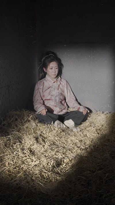 《女將軍重生之一體雙魂祖奶行》劇照