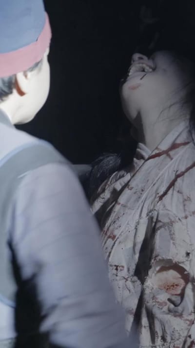 《女將軍重生之一體雙魂祖奶行》劇照
