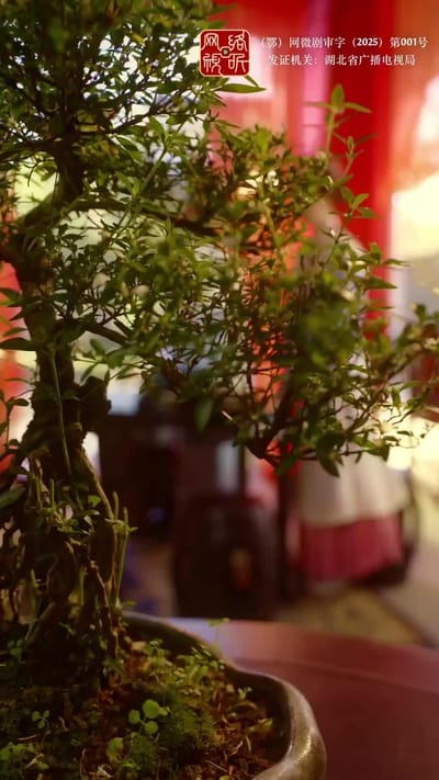 《吉天照》剧照