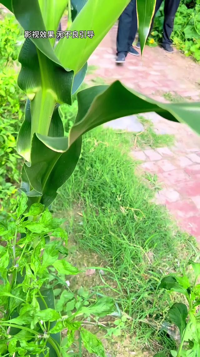 《半生尘缘》剧照