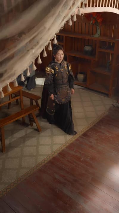 《女將軍重生之一體雙魂祖奶行》劇照