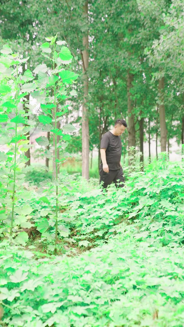 《村裡的姑娘叫阿杏》劇照