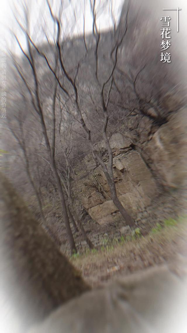 《狼王谷》劇照