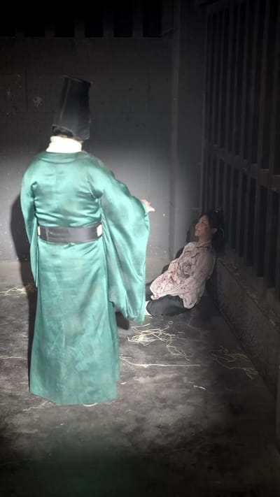 《女將軍重生之一體雙魂祖奶行》劇照