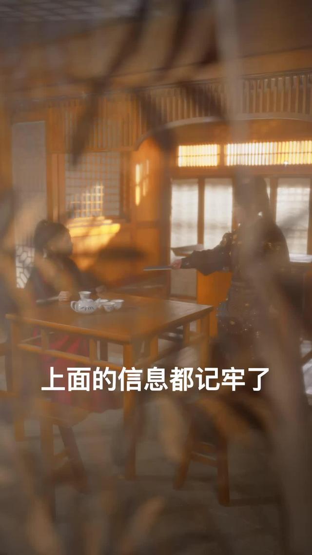 《女將軍重生之一體雙魂祖奶行》劇照