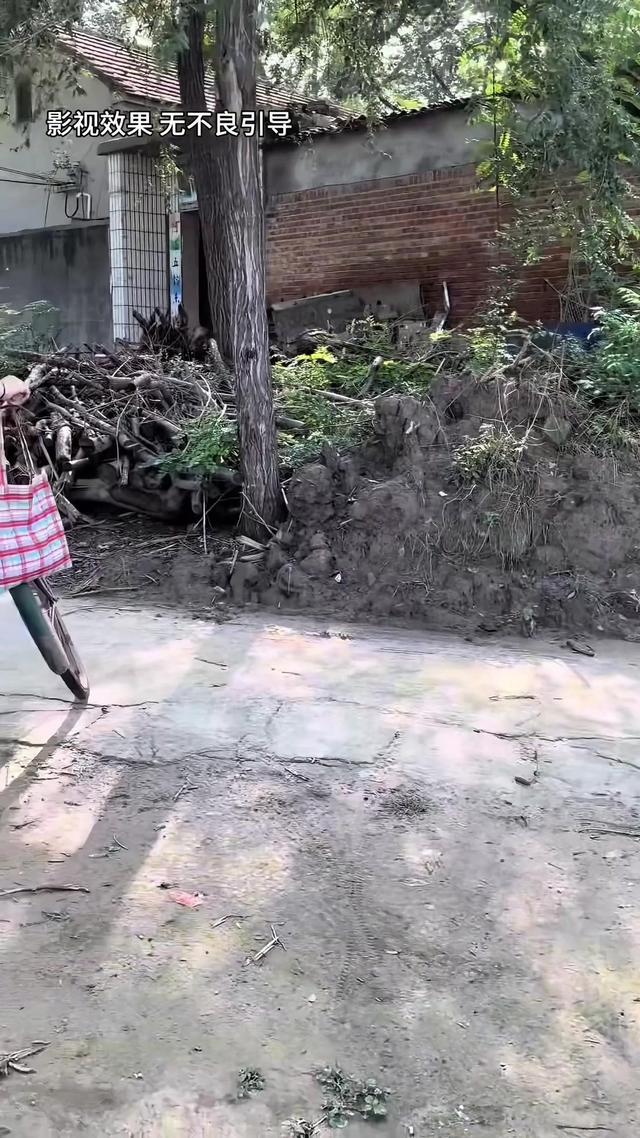 《半生尘缘》剧照