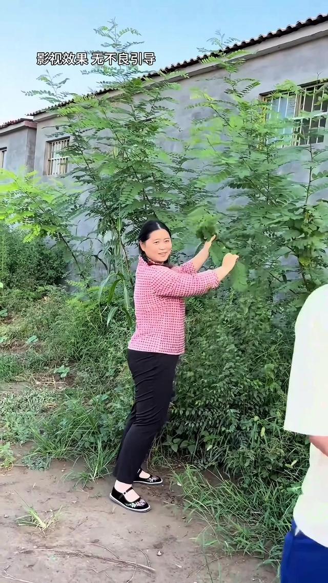 《半生尘缘》剧照