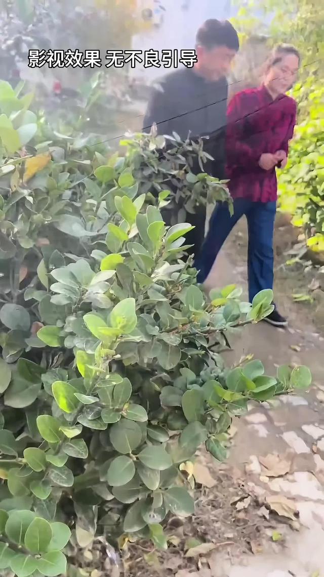 《半生尘缘》剧照