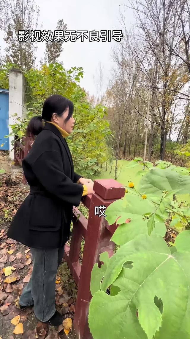 《半生尘缘》剧照